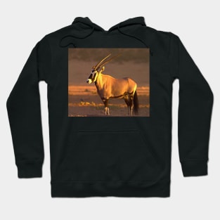 Oryx antelope Hoodie